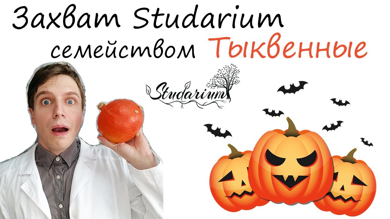 Это случилось! 👻😱  Захват Studarium семейством Тыквенные 🎃
