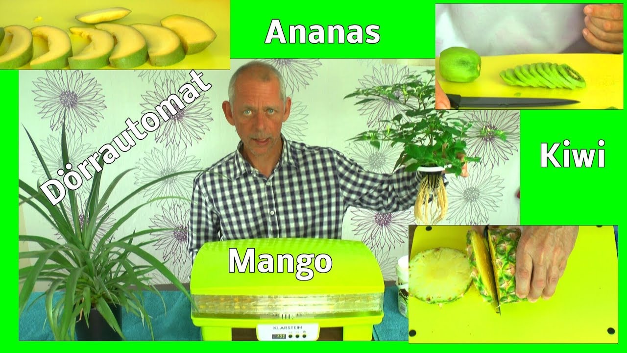Ananas Mango und Kiwi trocknen im Dörrautomaten die Vorbereitung der Früchte
