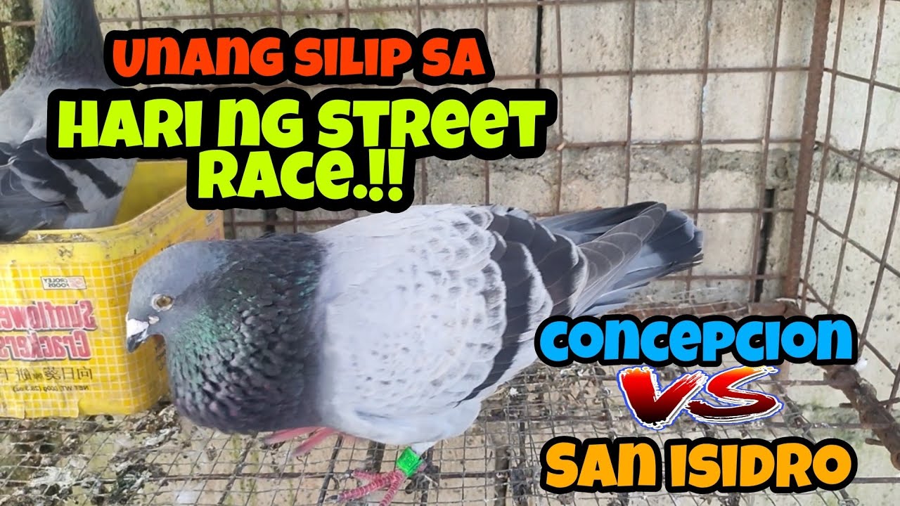 CONCEPCION VS SAN ISIDRO | SINO SI MATANG BIBE?!! | KARERA NG KALAPATI