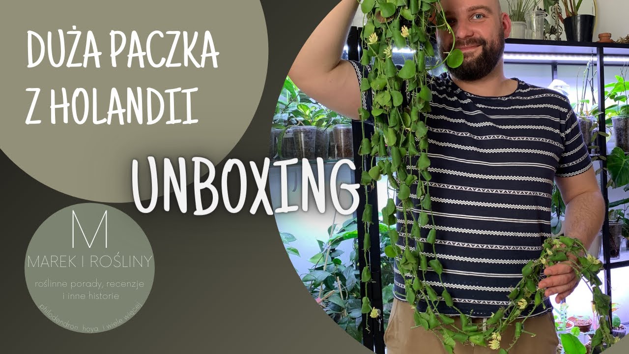 Duża paczka z Holandii - UNBOXING