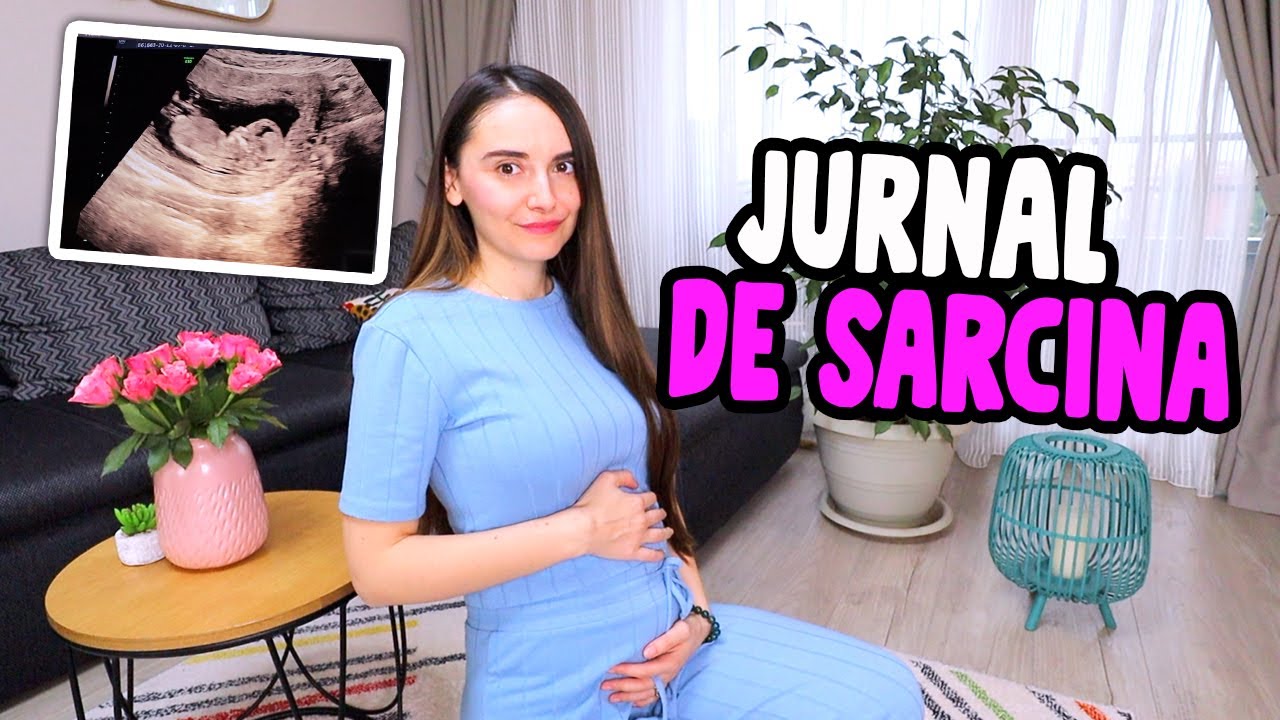 JURNAL DE SARCINA! Primul Trimestru