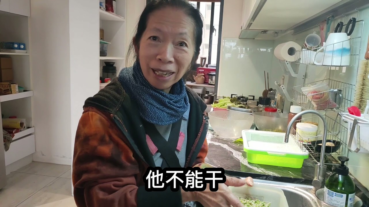 苜蓿芽種植教學全篇
