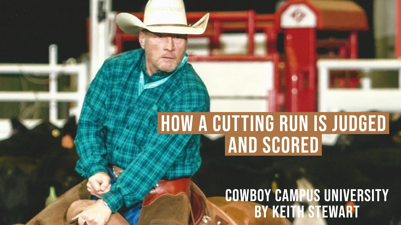 How a Cutting Run Is Judged & Scored