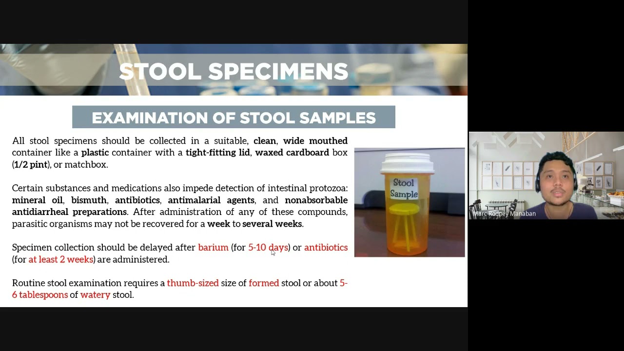 MT 51: Didactics | Parasitology Review (Diagnostic Parasitology Part 1)
