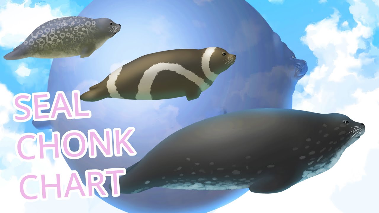 Completely Realistic Seal Chonk Chart