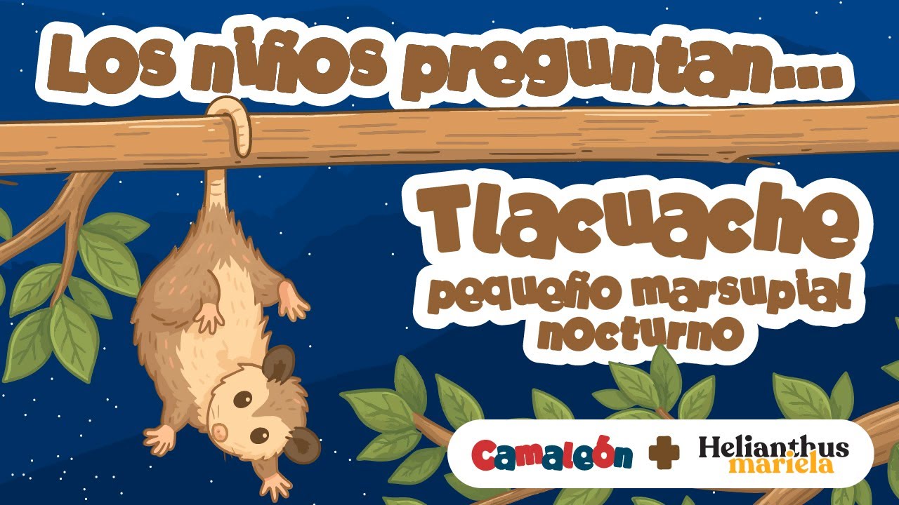 Tlacuaches: maestros del engaño