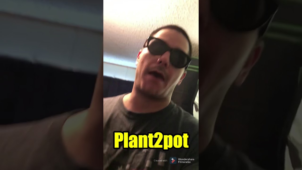 Expert seed auto