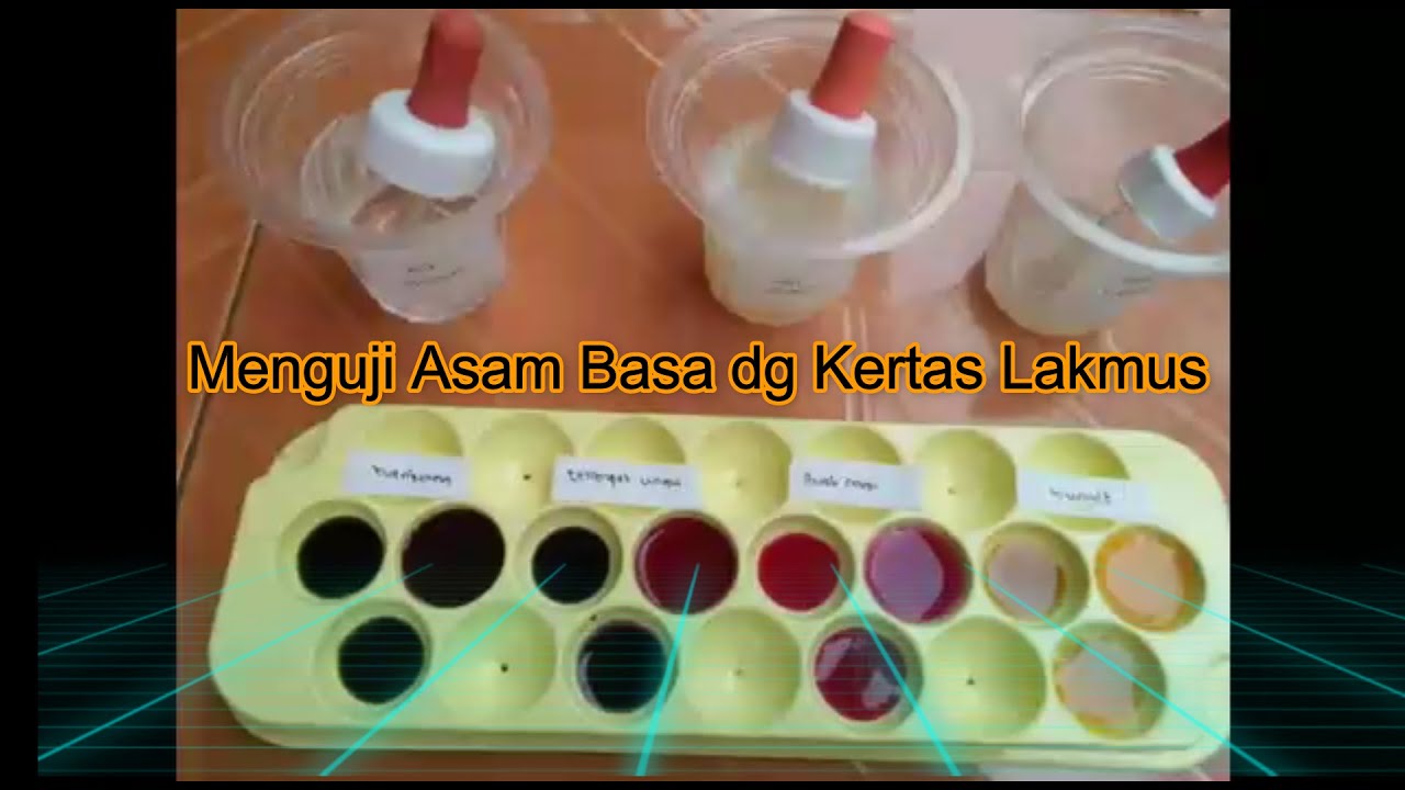 Menguji Sifat Larutan Asam Basa Menggunakan Kertas Lakmus Buatan - Membuat Indikator Alami Asam Basa
