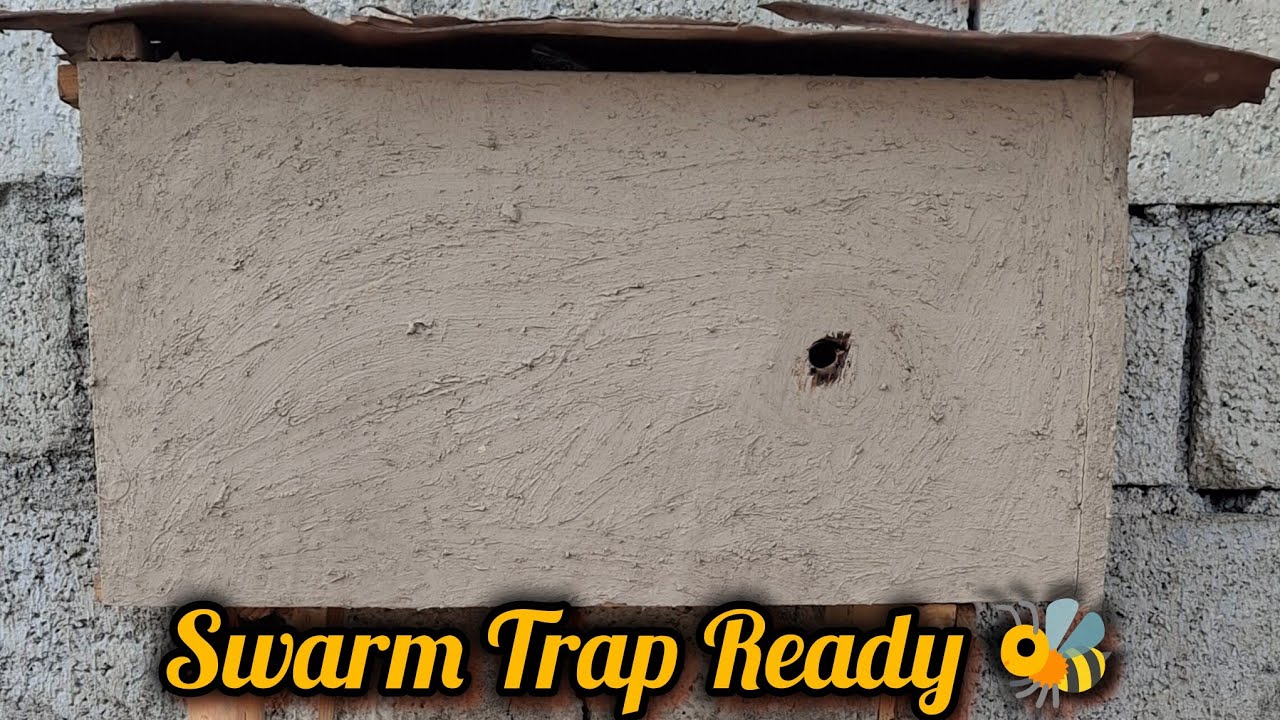 Traditional Bee Boxes ka Naya Setup 🐝 — Bee Traps Ready! 🐝 || Beekeeping kashmir 