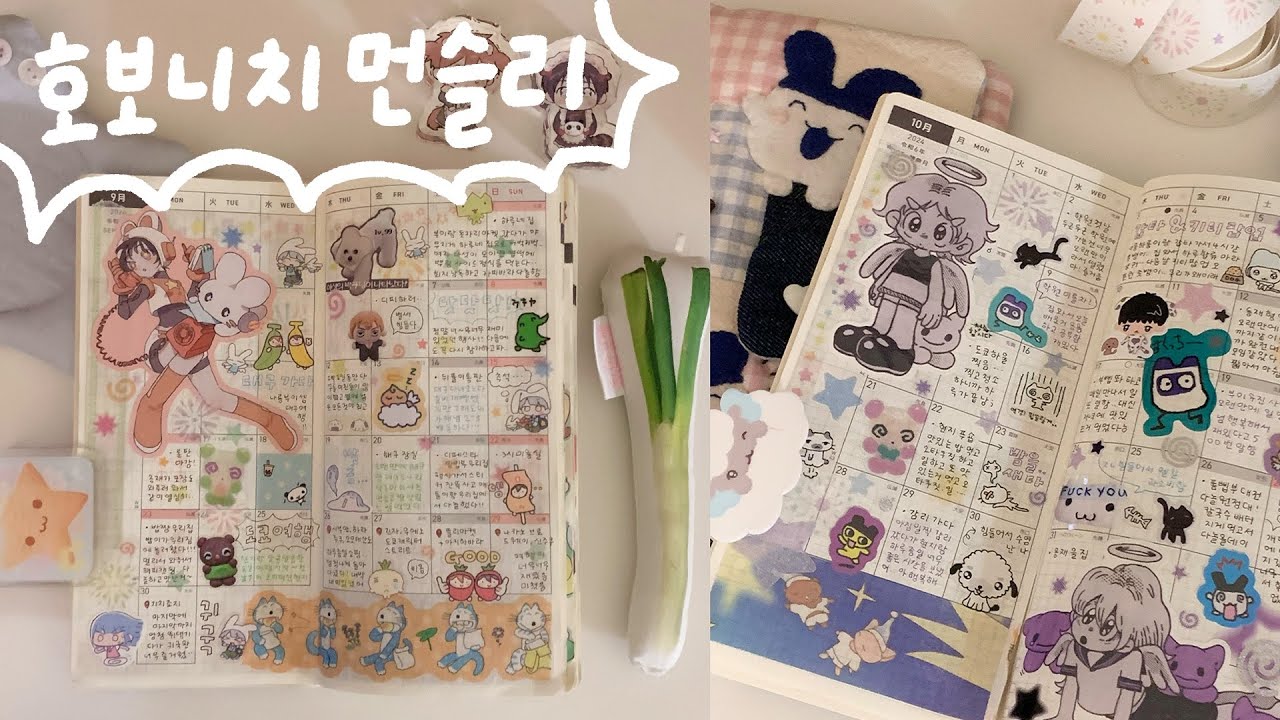 호보니치 윅스 먼슬리 다꾸🪽