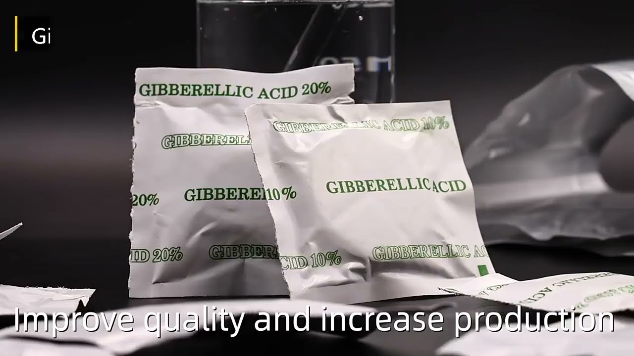 Gibberellins Gibberellic Acid GA3