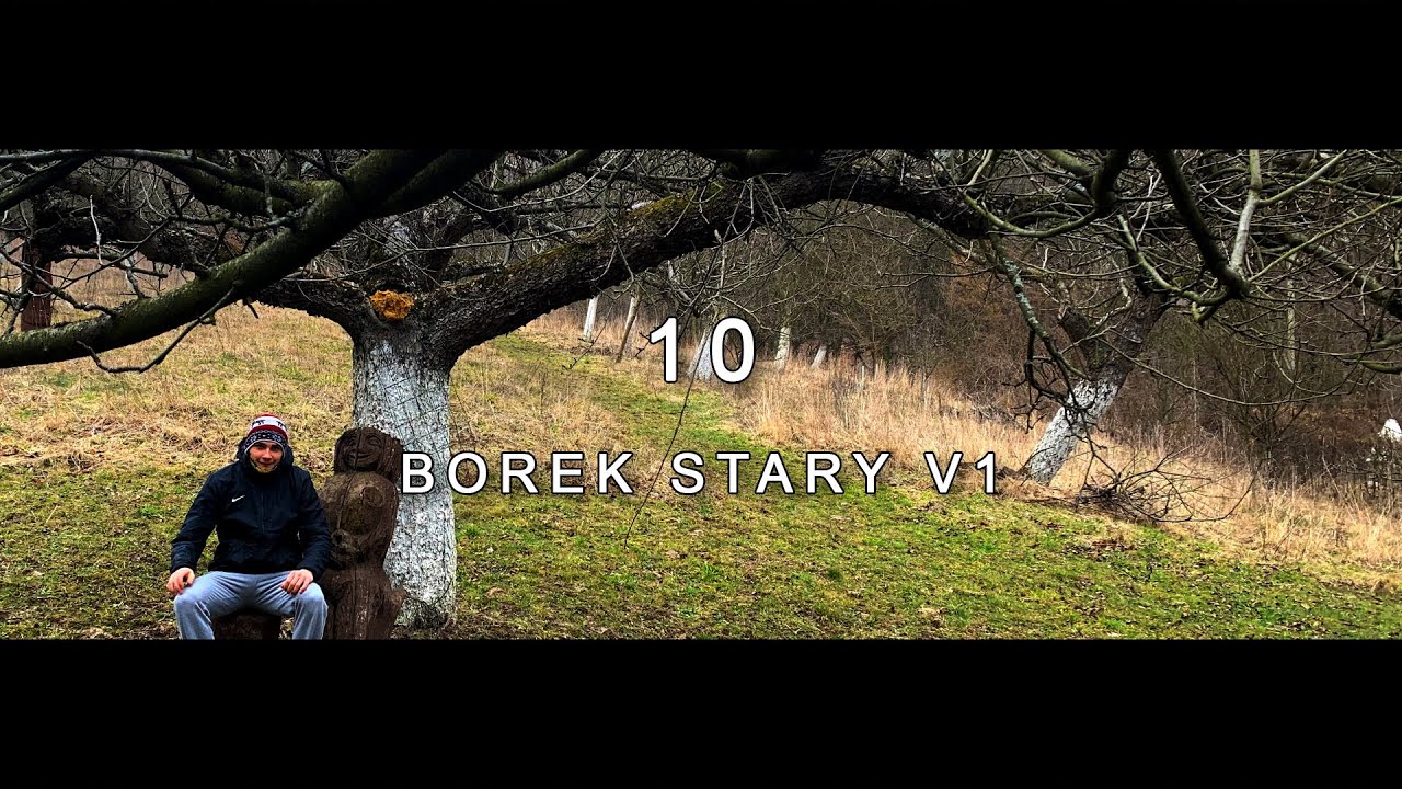 BOREK STARY, PODKARPACIE, POLSKA - 10.03.2020