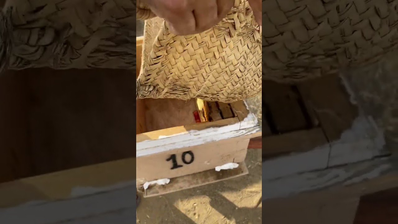 ٣- تحويل العود البلدي الى خلية حديثة (الجزء الثالث)(اساسيات تربية النحل)(غانم سعيد القحطاني)