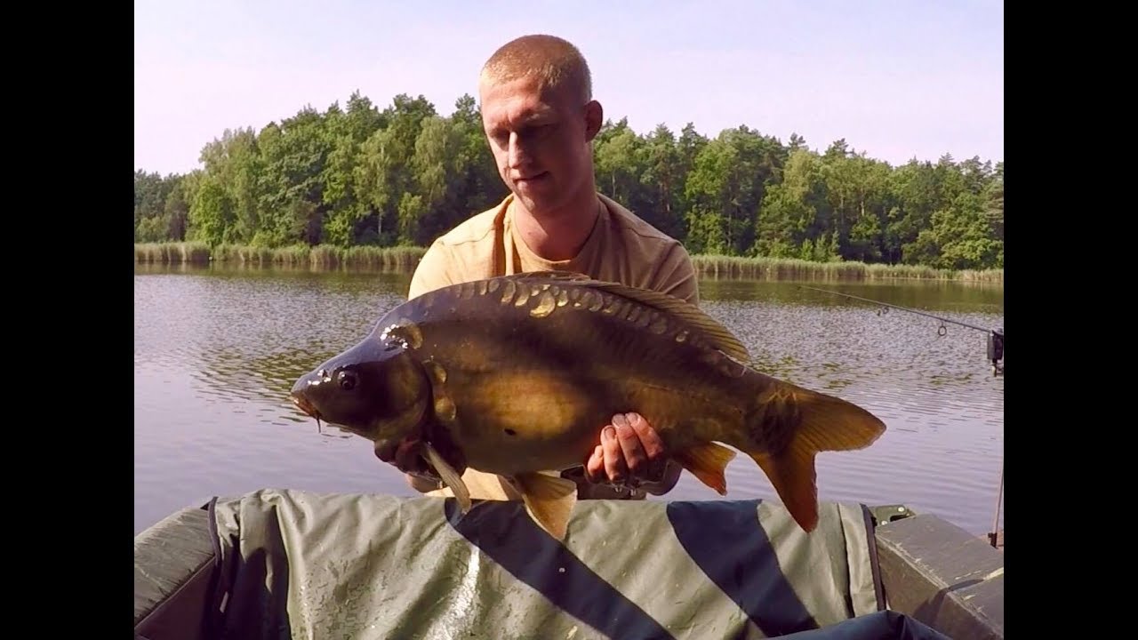 5# Szybka zasiadka karpiowa // Łowisko Baroniok
