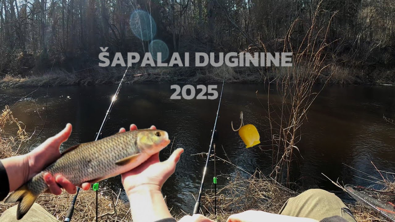 Šapalų žvejyba ankstyvą pavasarį ir jų kibimai!
