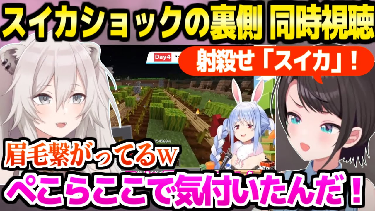 【ホロ金策サバイバル】大騒動のスイカショック切り抜きを同時視聴するスバルぼたん,事件の裏側に衝撃ｗ「BLEACHやってたからｗｗ」【ホロライブ 切り抜き/戌神ころね/獅白ぼたん/兎田ぺこら】
