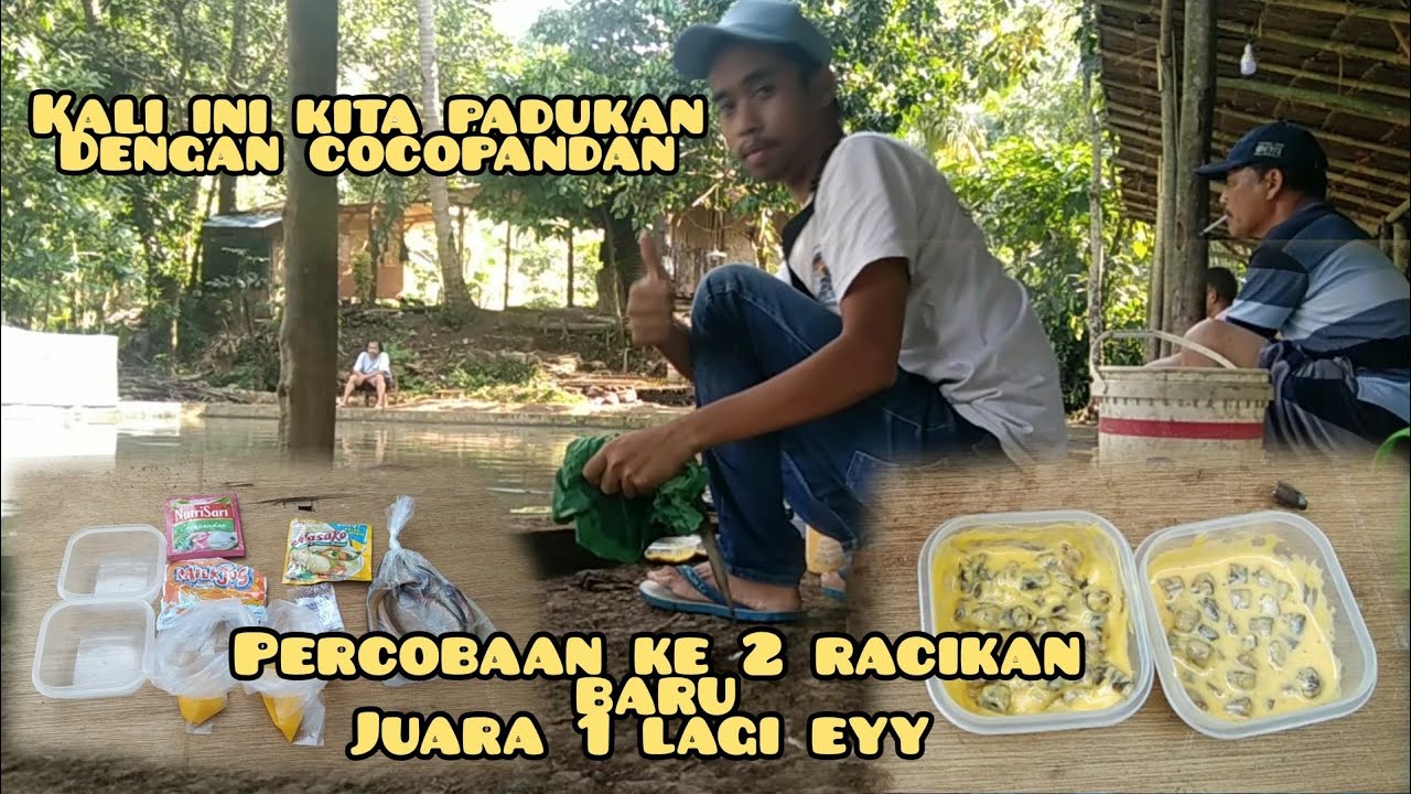 PERCOBAAN KE 2 MASIH DIKASIH JUARA mantul abiss!!!