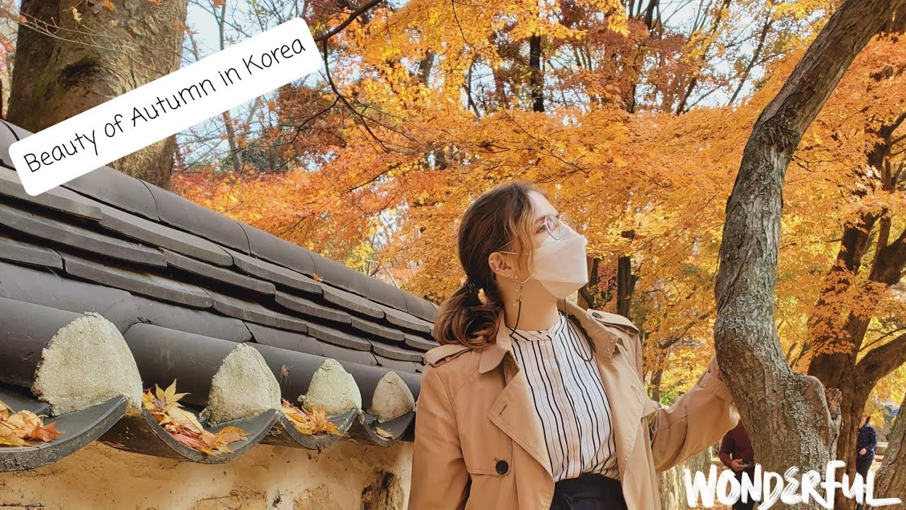 Trip To Naejangsan National Park | What's Fun In Korea?
