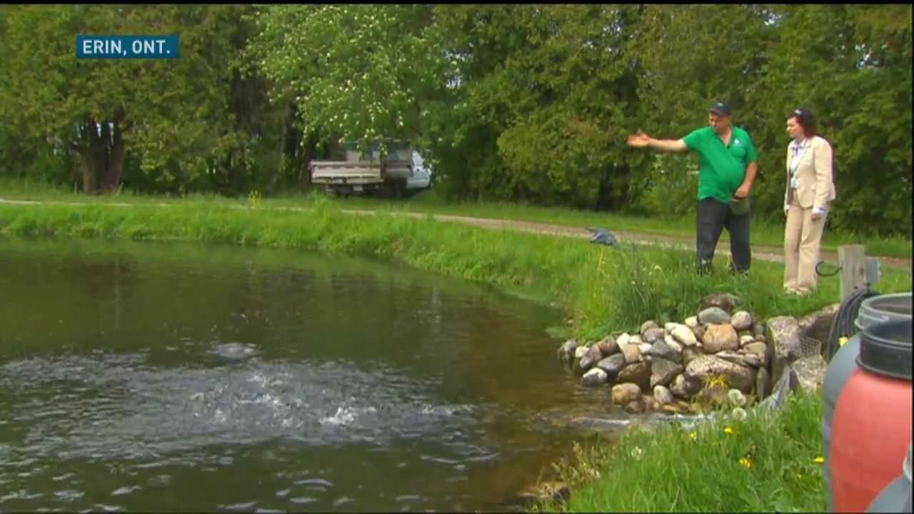 Residents resist changes to Nestlé water permit