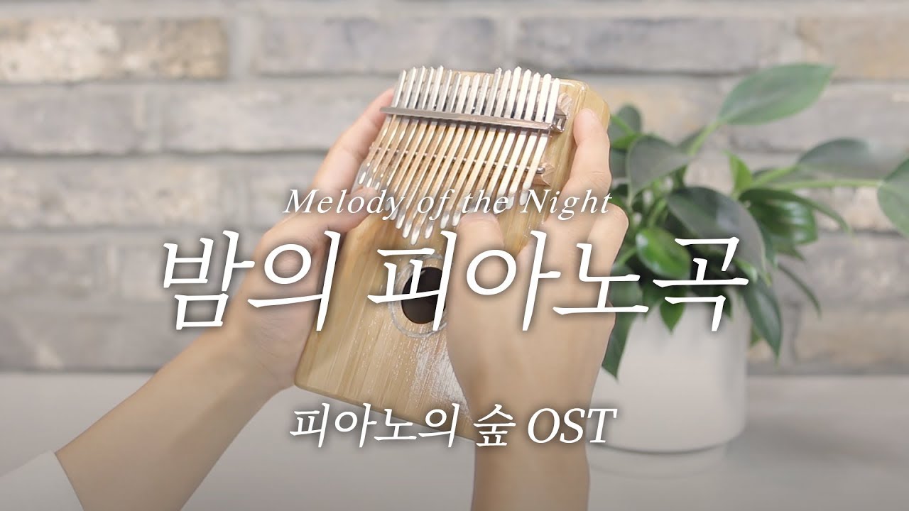 [칼림바 연주 & 악보] 밤의 피아노곡(melody of the night) - shi jin / 피아노의 숲 OST kalimba cover