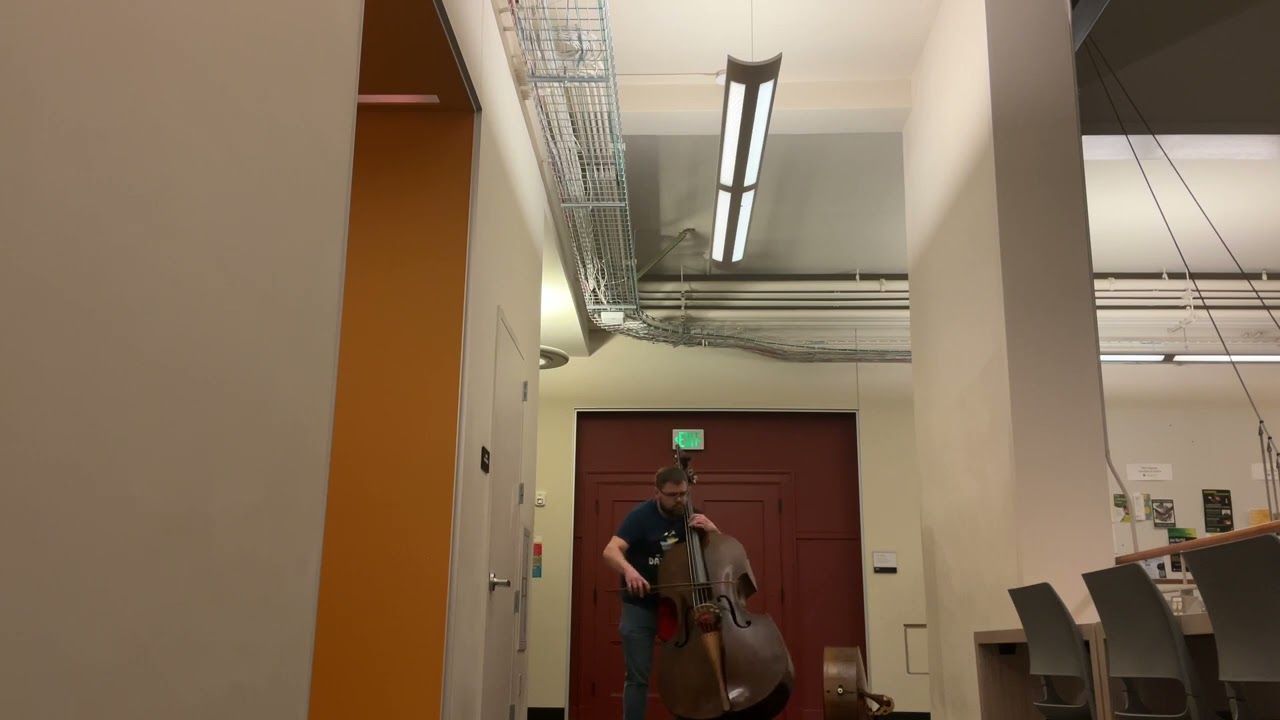 Bach: A tale of 2 Bourrees on 2 basses