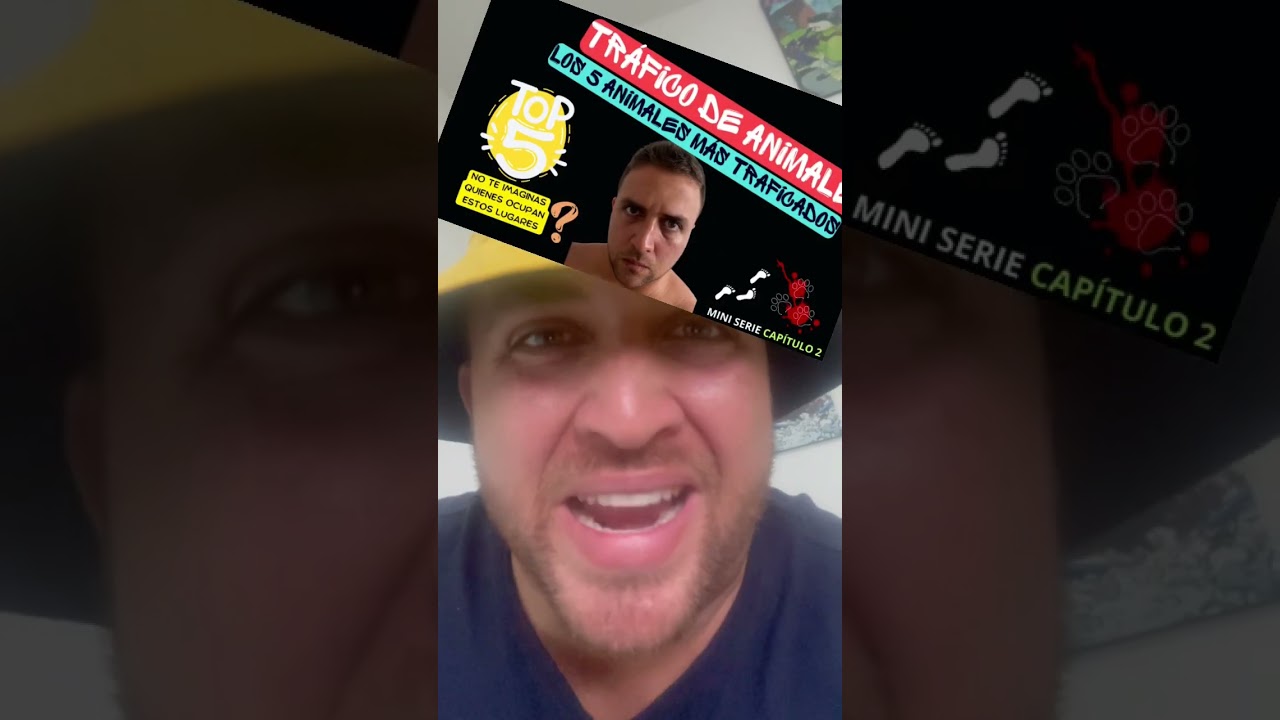 Capítulo 2. No te lo pierdas 