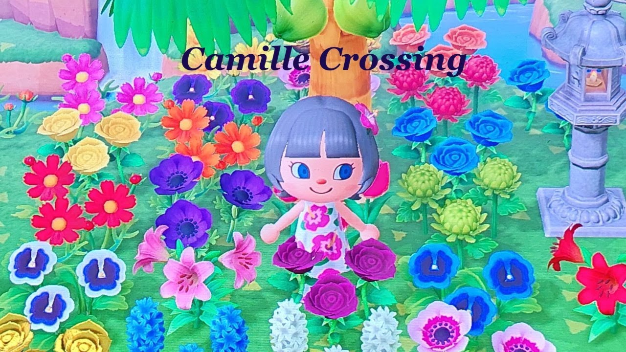 DAY 1132(Jan 31,  2026) Kahakai & Leilani!  Animal Crossing:New Horizons (ACNH w/ Camille Crossing)
