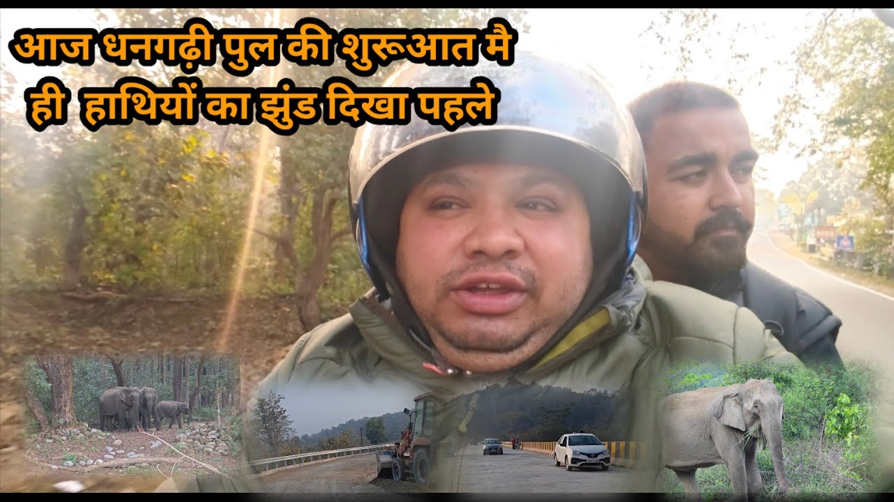 Aaj Dhangari Pull Jate Huwe Mila Elephant Group 
