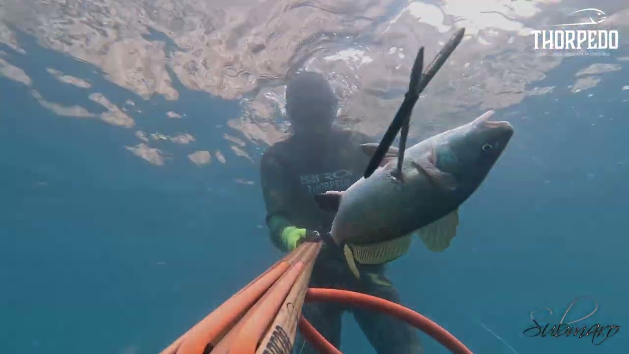 Pesca Sub: 