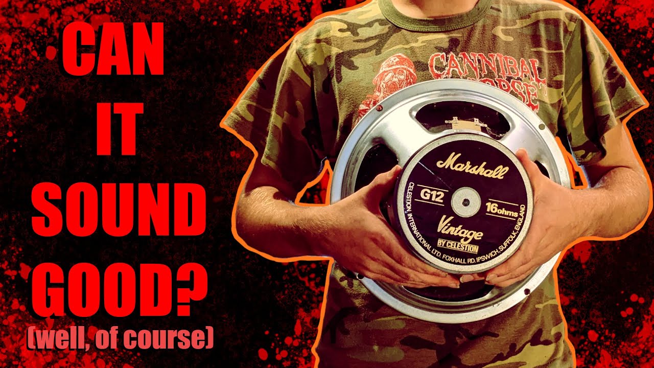 The WORST Sounding Vintage 30? The Celestion 