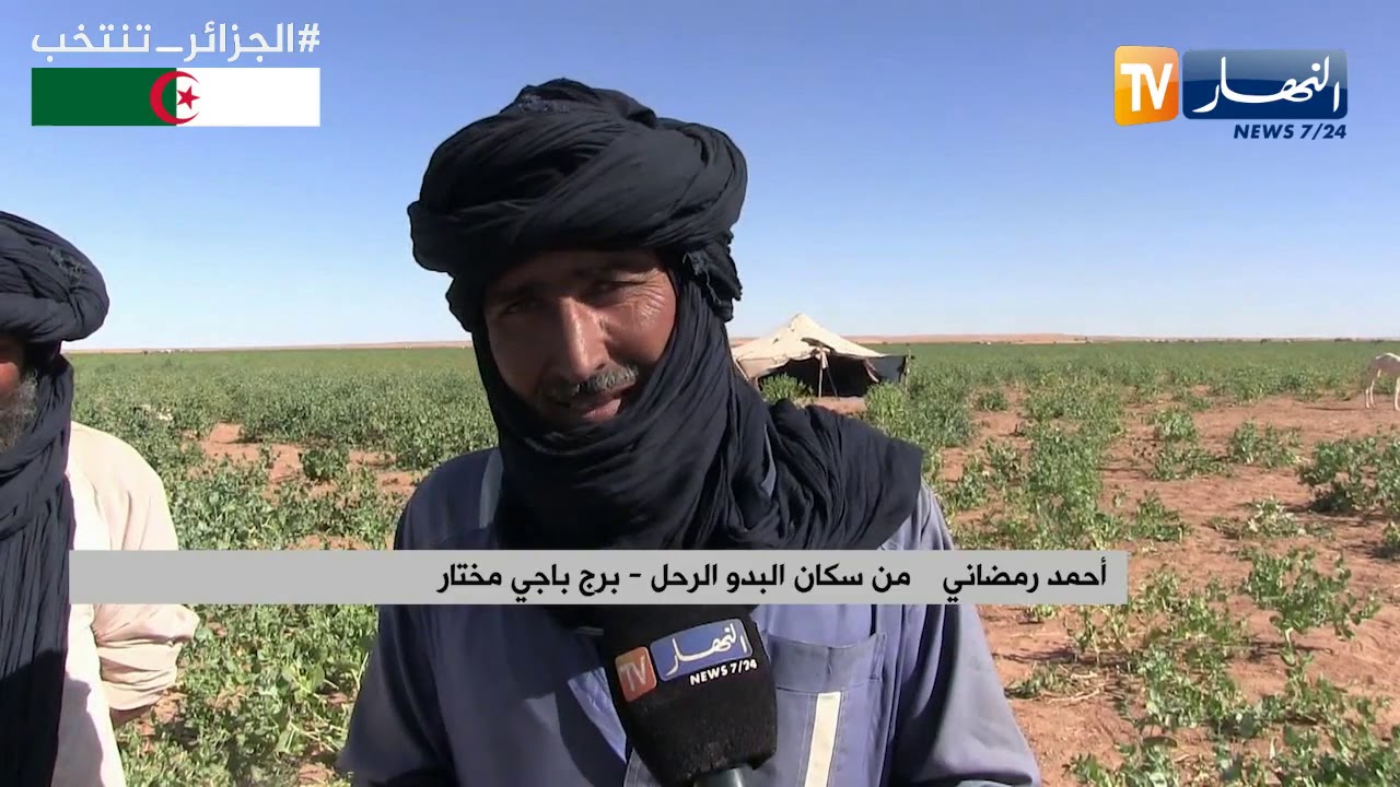 برج باجي مختار: البدو الرحل.. قساوة و تحدي لظروف الطبيعة