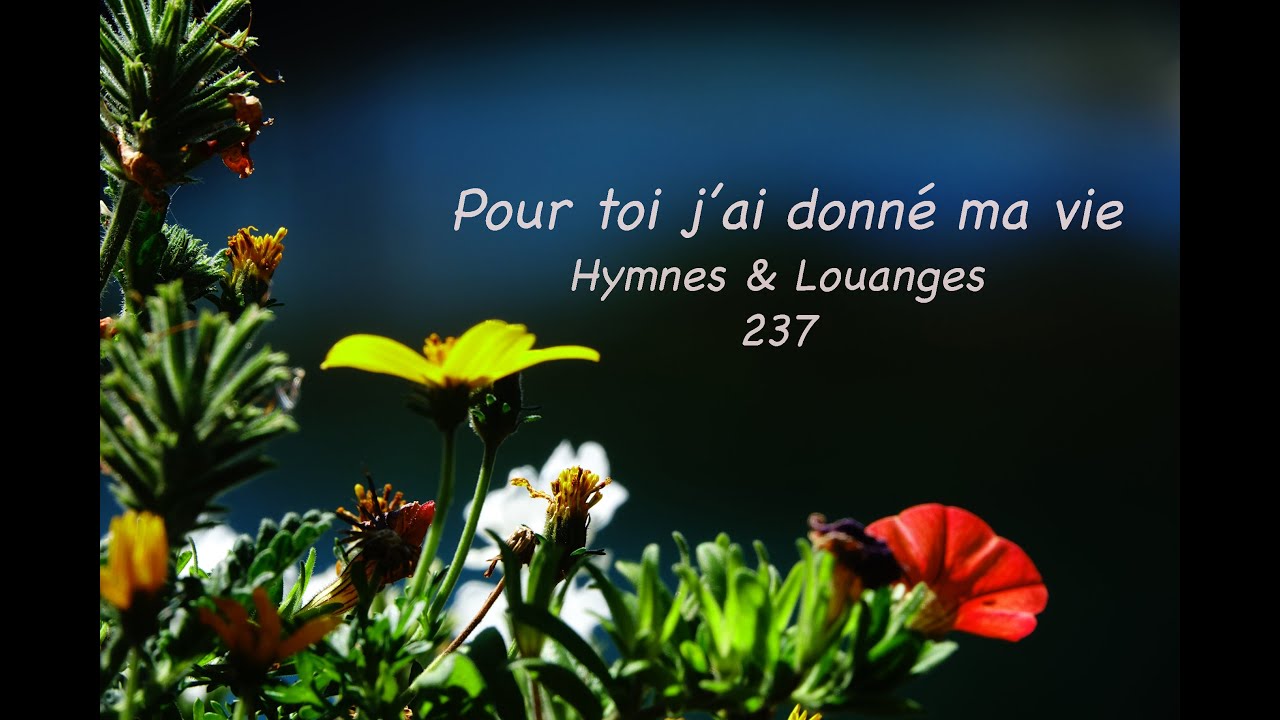 Hymnes & Louanges 237 - Pour toi j'ai donné ma vie - cover instrumental