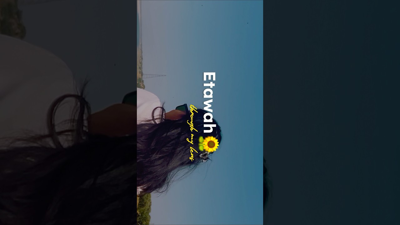 Comment &ldquo;template&rdquo; #vlogedit #template