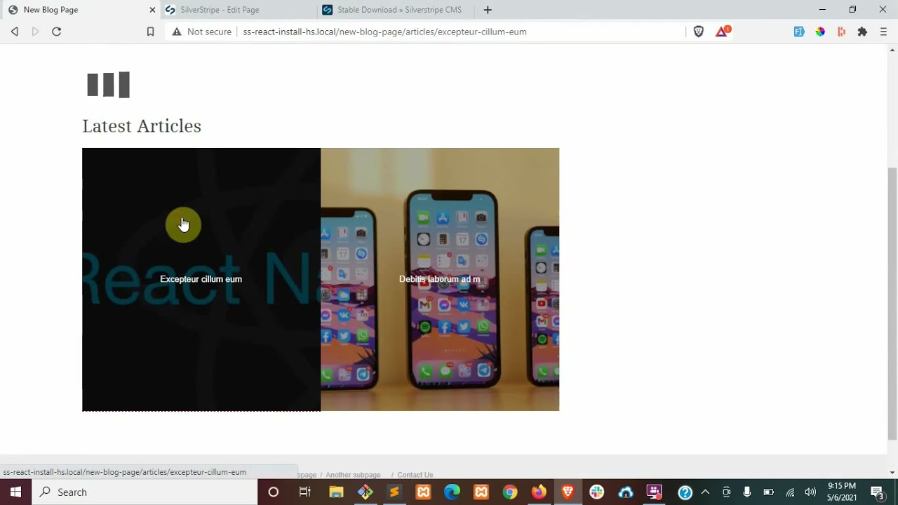 SilverStripe with React Introduction & Installation