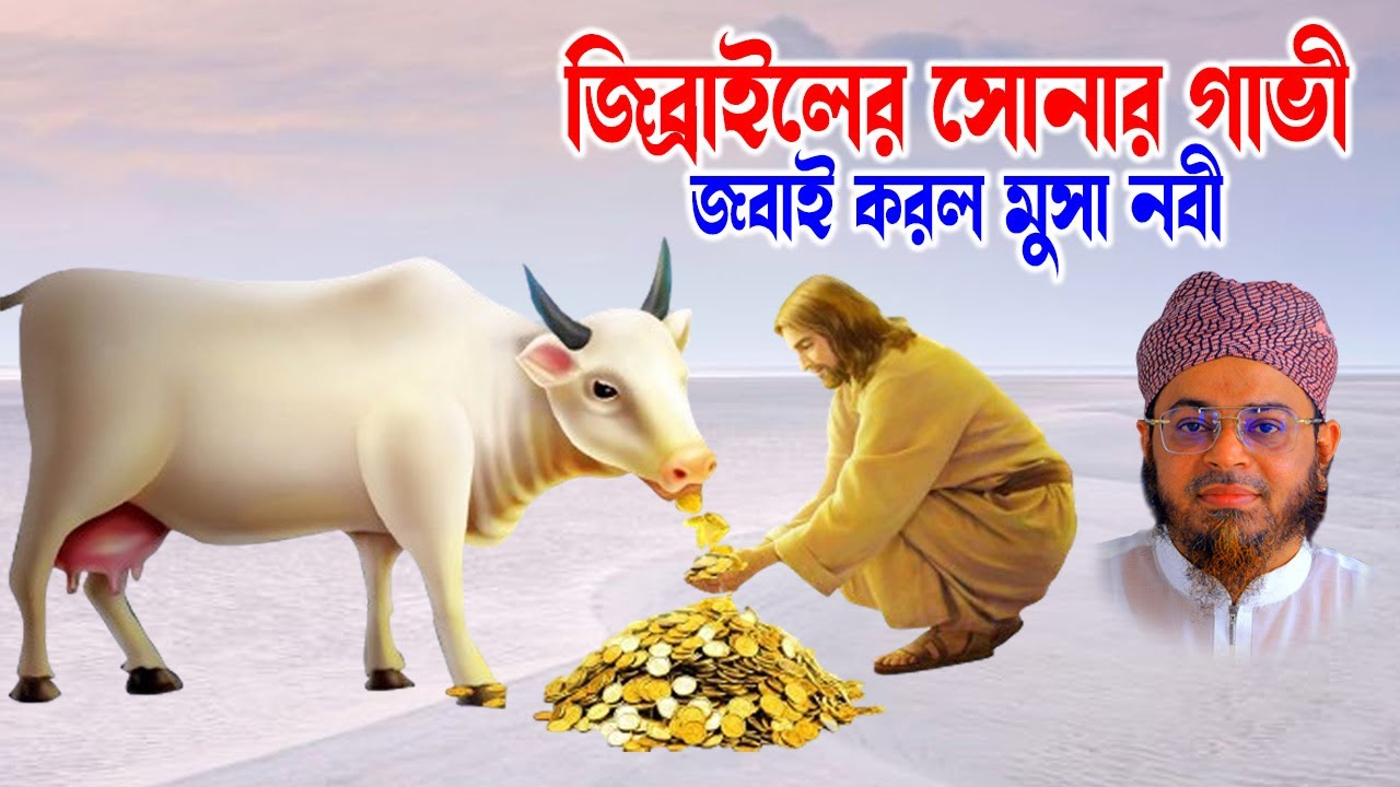 nasir uddin ansari | নাসির উদ্দিন মুফতি | মুফতি নাসির উদ্দিন | জিব্রাইলের সোনার গাভী নিয়ে মুসা নবী