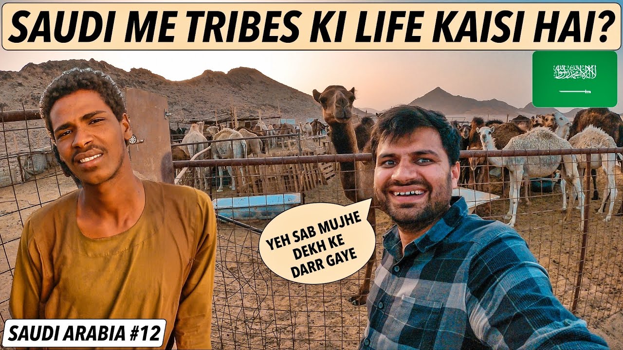 LIFE OF TRIBES IN SAUDI ARABIA?