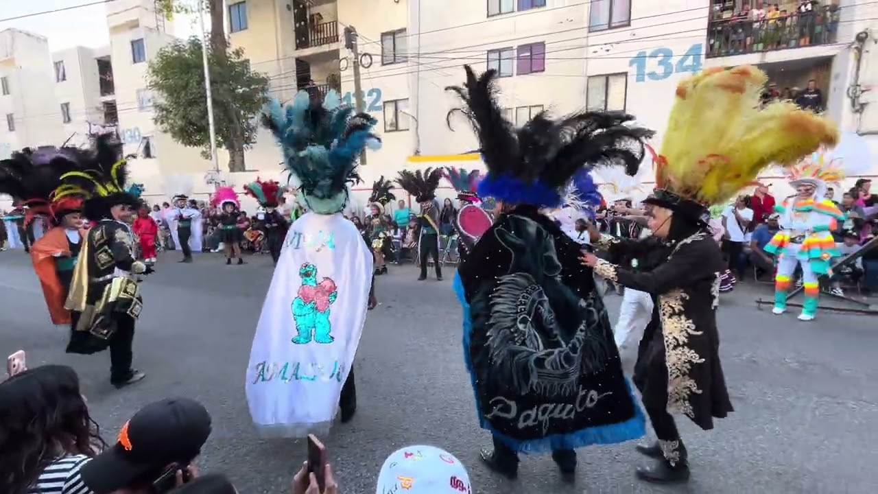 Huehues 2026 Cuadrilla Amalucan Abedul.
