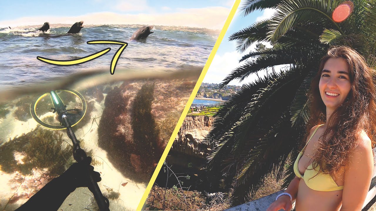 Underwater Metal Detecting with Sea Lions (La Jolla California)