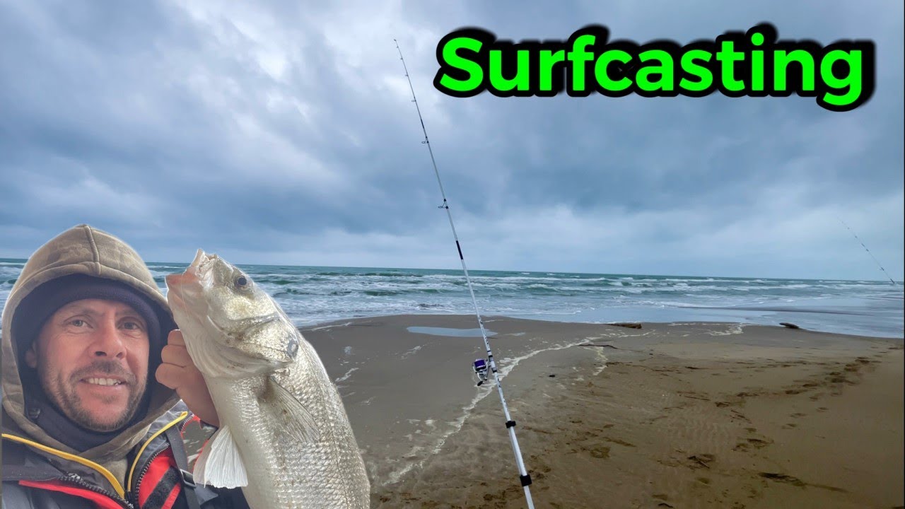 Session SURFCASTING (pêche du bar en méditerranée)