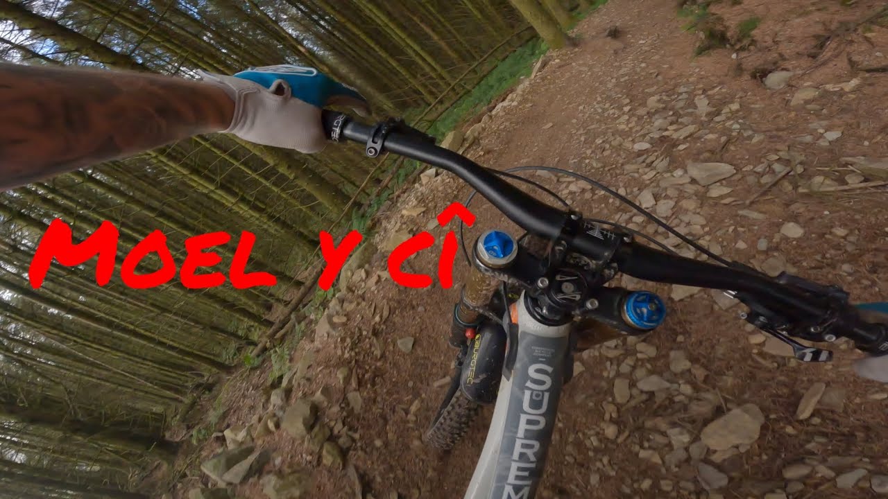 Moel y Ci Downhill