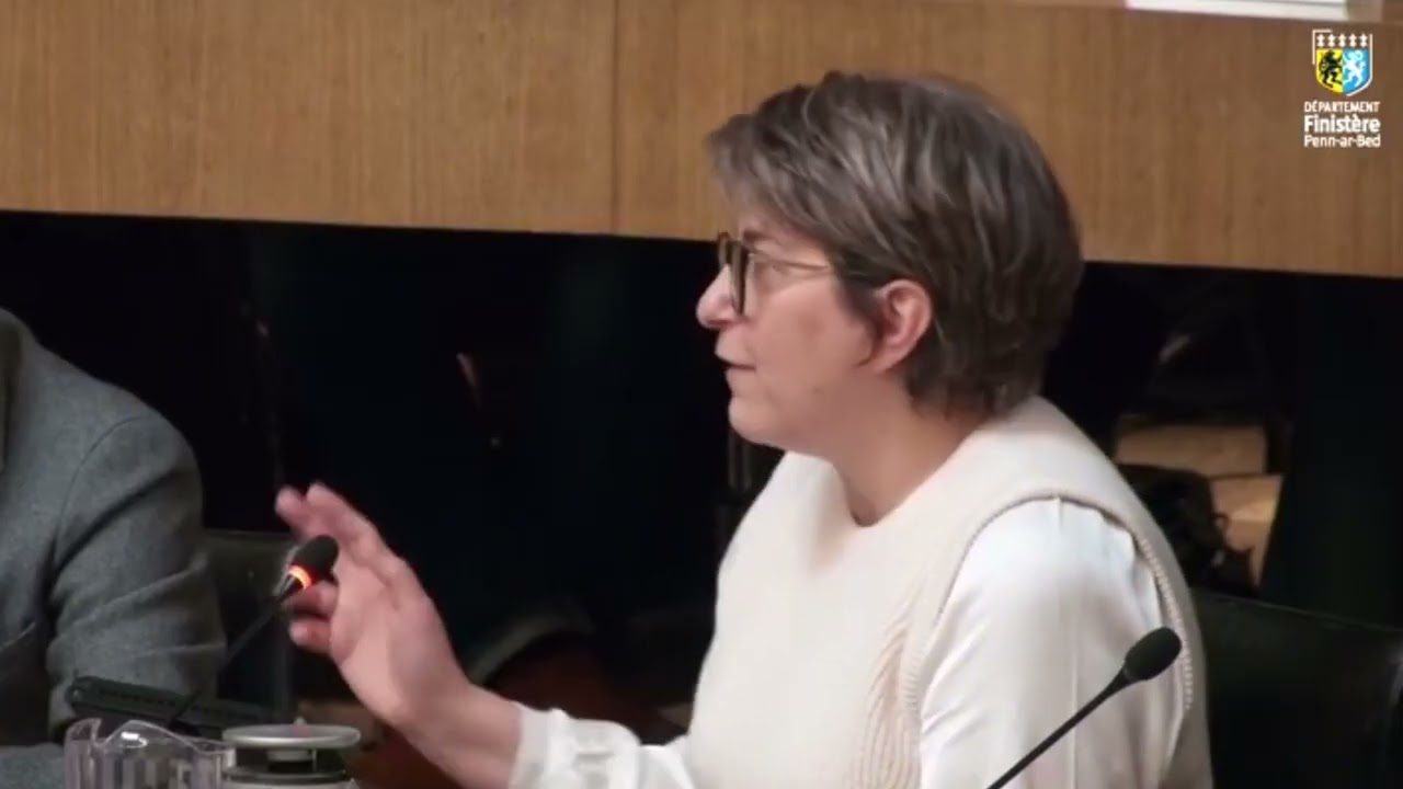 Orientation et insertion des MNA et jeunes majeurs - Nathalie Sarrabezolles
