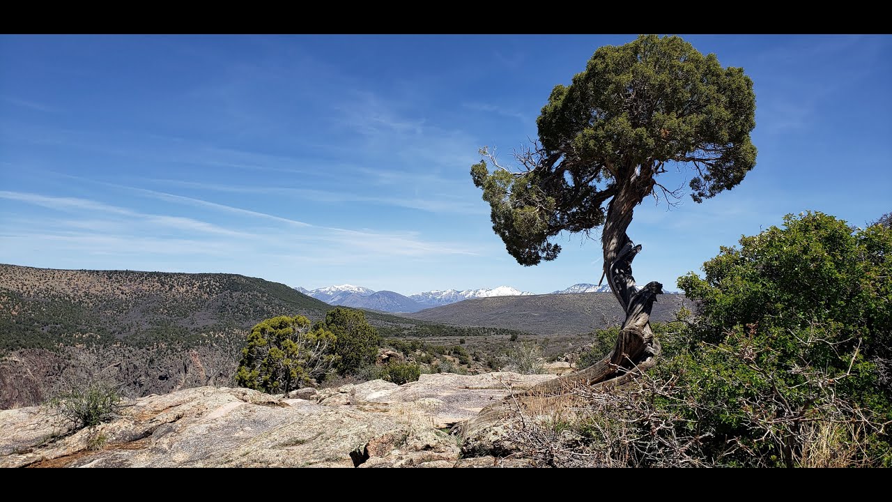Molly's Spring 2025 Travel Adventures  - Colorado New Mexico Texas National Parks