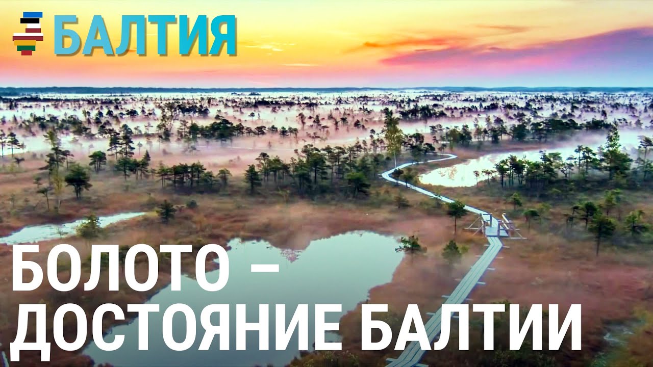 Болото – национальное достояние | БАЛТИЯ