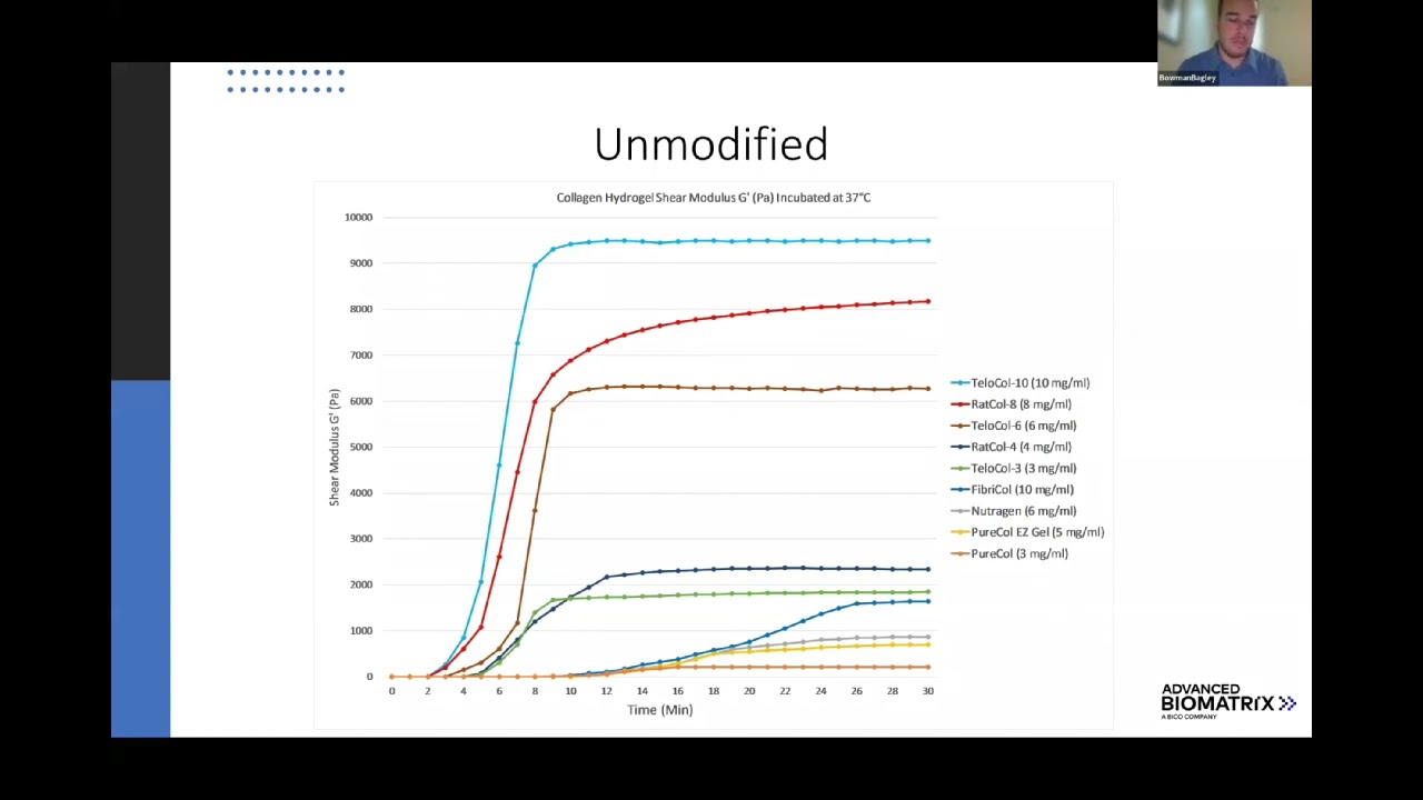Photocrosslinkable Extracellular Matrices for Re-Creating an In Vivo Environment