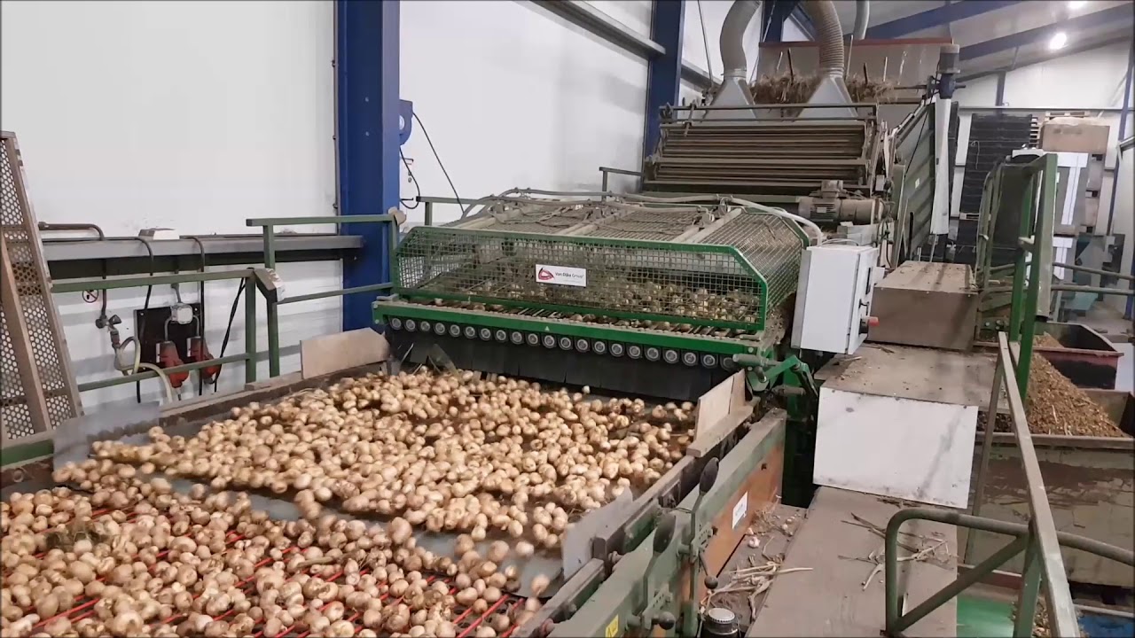Pelmachine bloembollen