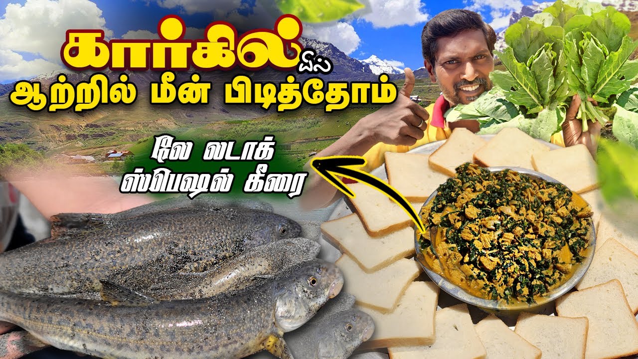 கடைசி காணொளி 🙂 லடாக் மலைப்பகுதியில் | லே லடாக் ஸ்பெஷல்-  கீரை சப்ஜி | How to make Lettuce Sabzi