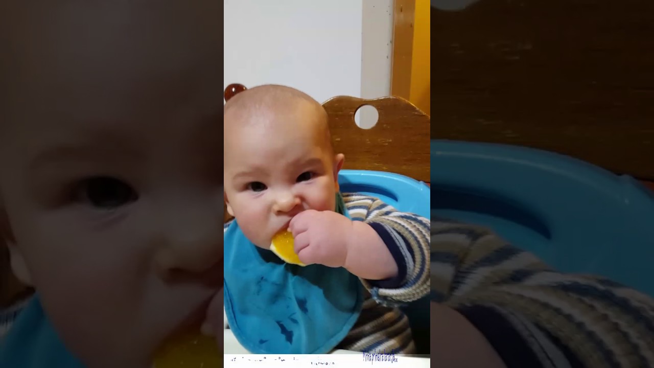 BLW - Laranja -  Introdução Alimentar de Bebês- Benício 6 meses