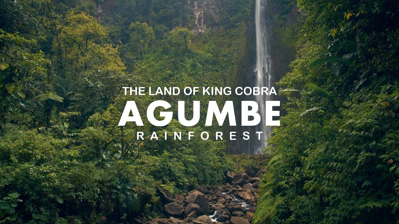 AGUMBE - Land of King Cobra | Malgudi Days Shooting Spot | Agumbe Tourist Places | Rainforest ASMR