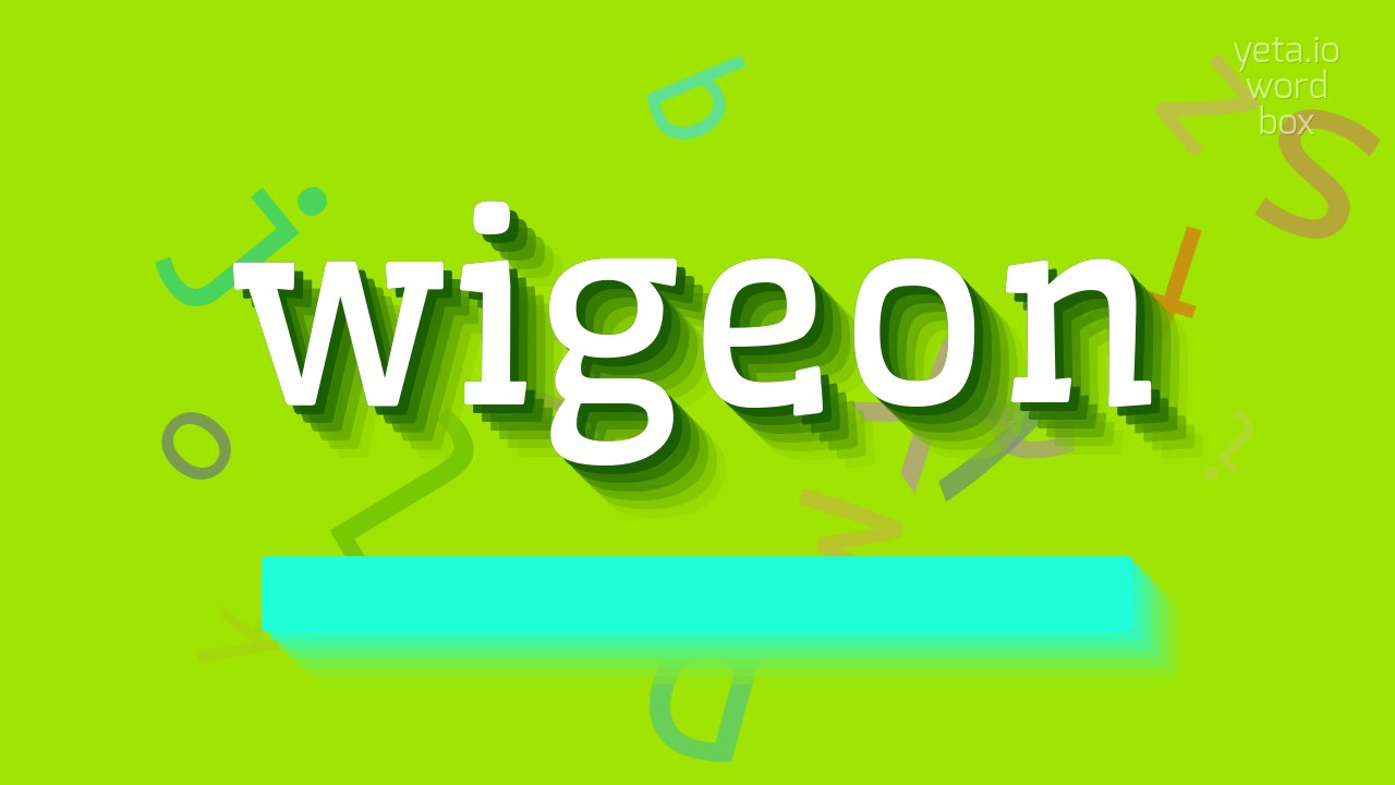 WIGEON - HOW TO PRONOUNCE WIGEON? #wigeon