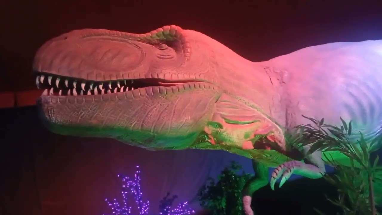 i Dinosauri in città Novara 17/11/2022
